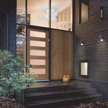 Magnum Aluminium Outdoor Wall Light